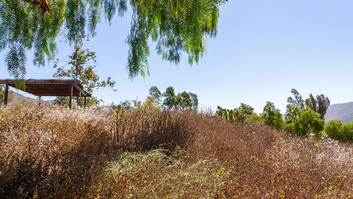 San Pasqual Battlefield State Historic Park The Cultural Landscape