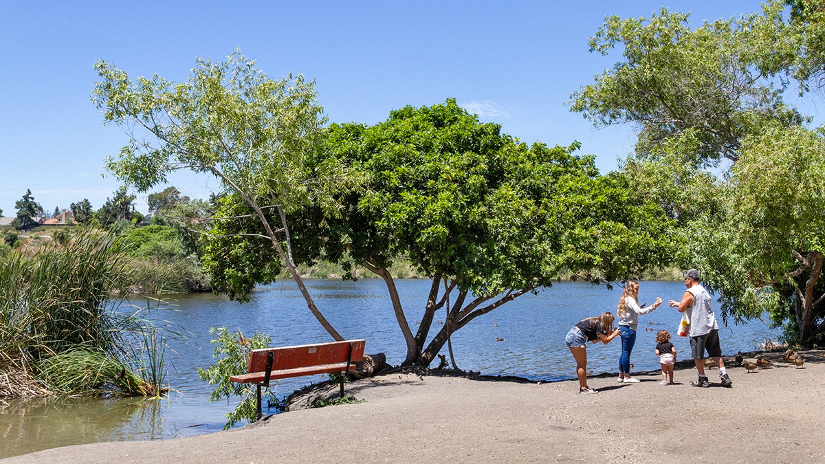Guajome Regional Park The Cultural Landscape Foundation