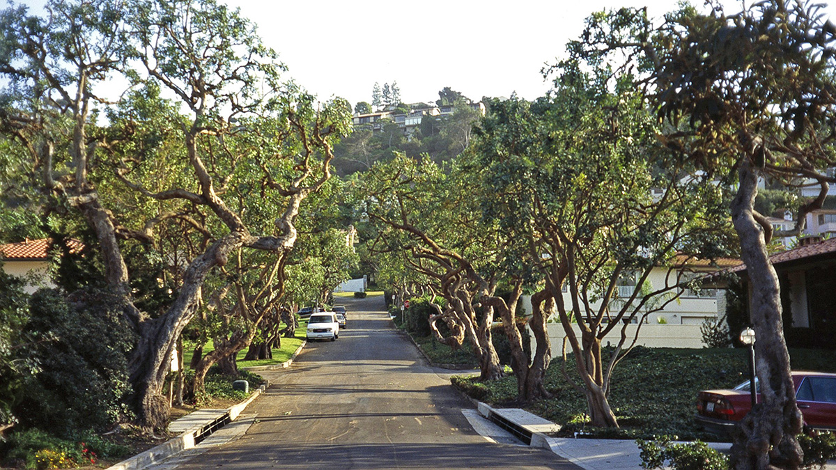 Palos Verdes, CA