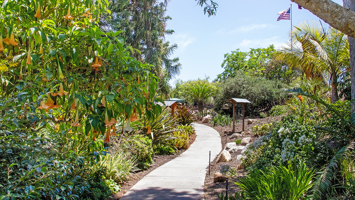 San Diego Botanic Garden | The Cultural Landscape Foundation
