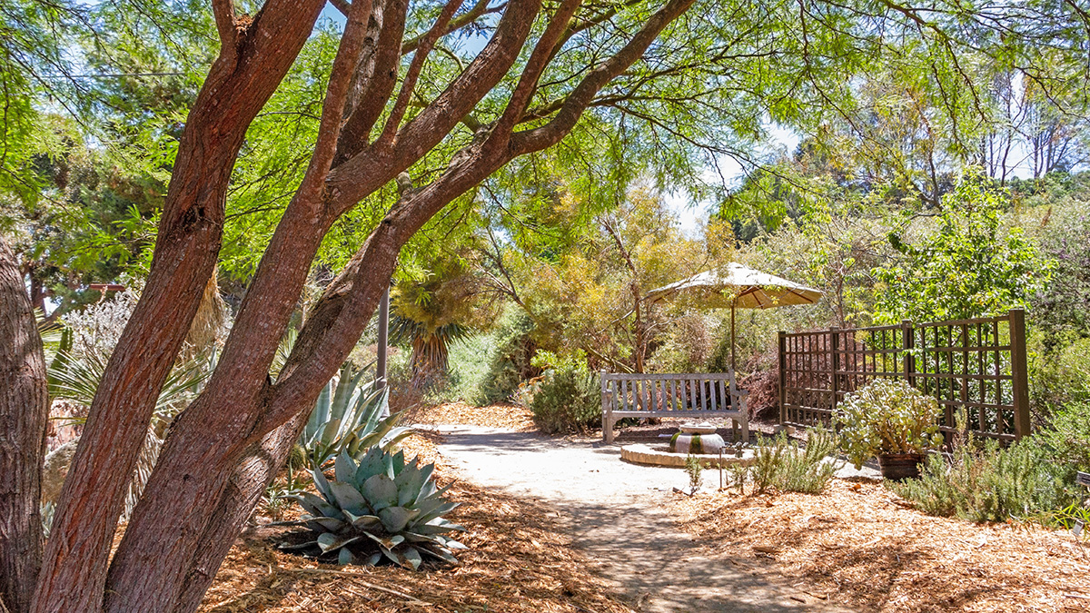 San Diego Botanic Garden The Cultural Landscape Foundation