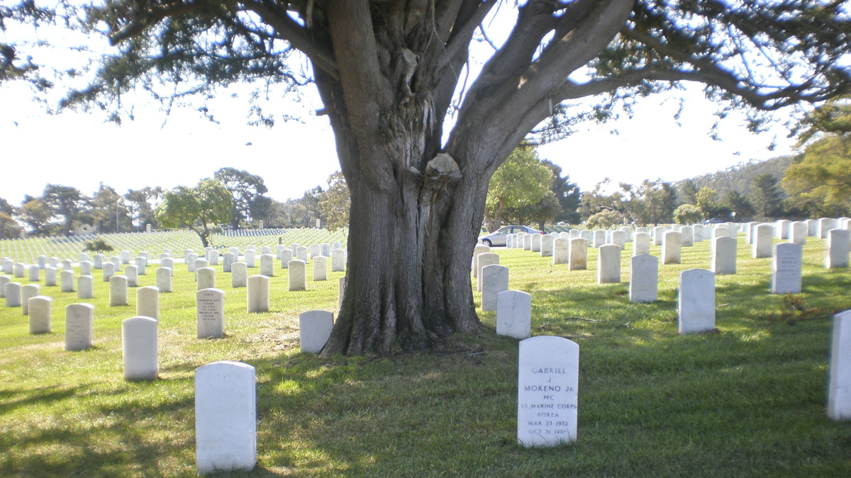 Golden Gate National Cemetery, San Francisco, CA