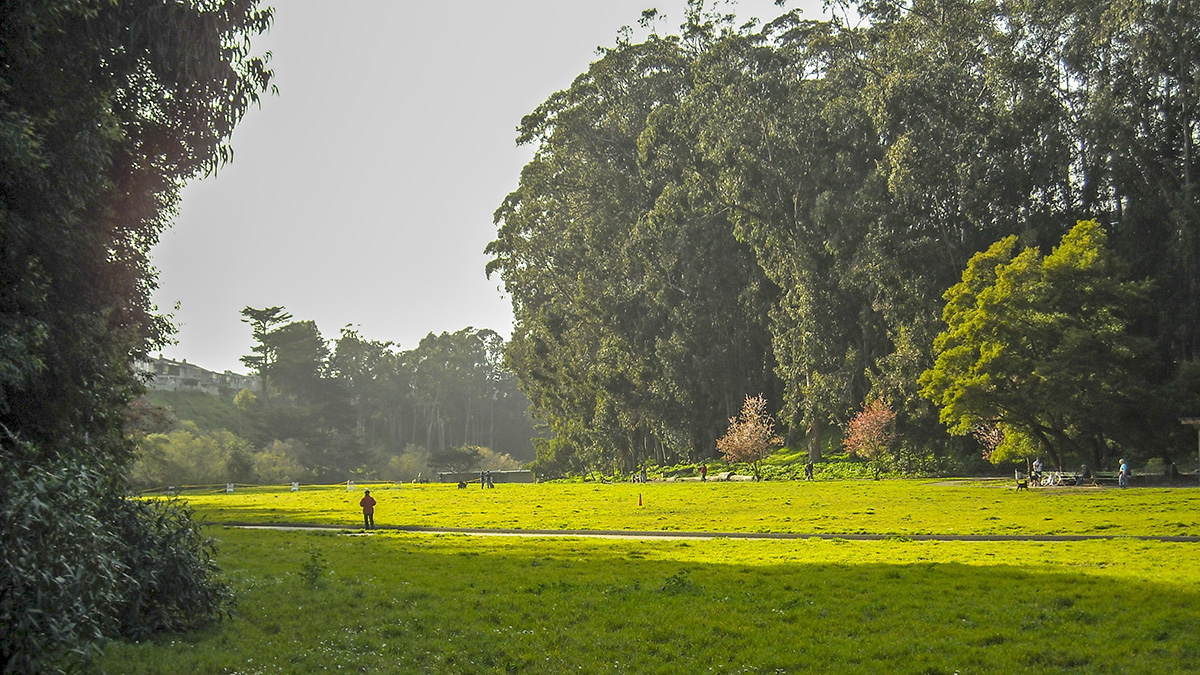 Pine Lake Park, San Francisco, CA