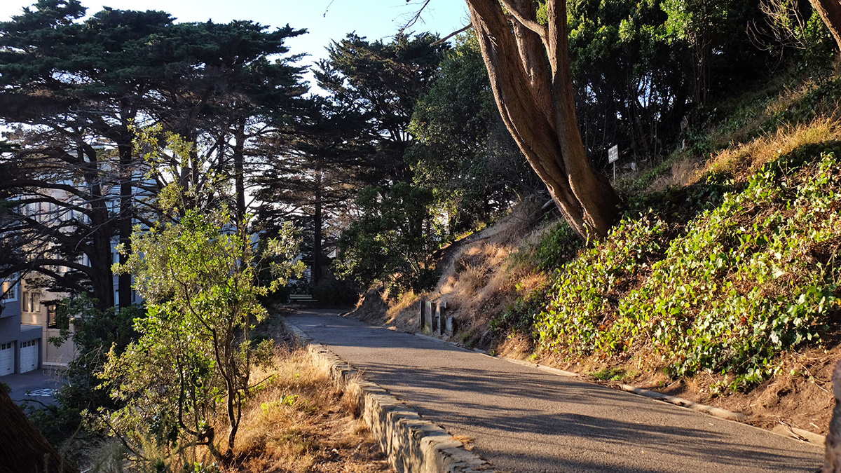 Pioneer Park | The Cultural Landscape Foundation