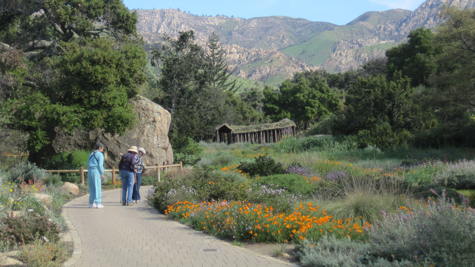 Santa Barbara Botanic Garden