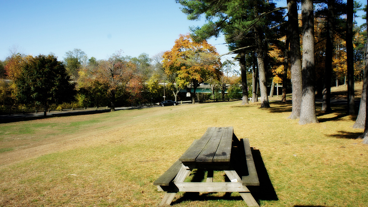 Beardsley Park The Cultural Landscape Foundation