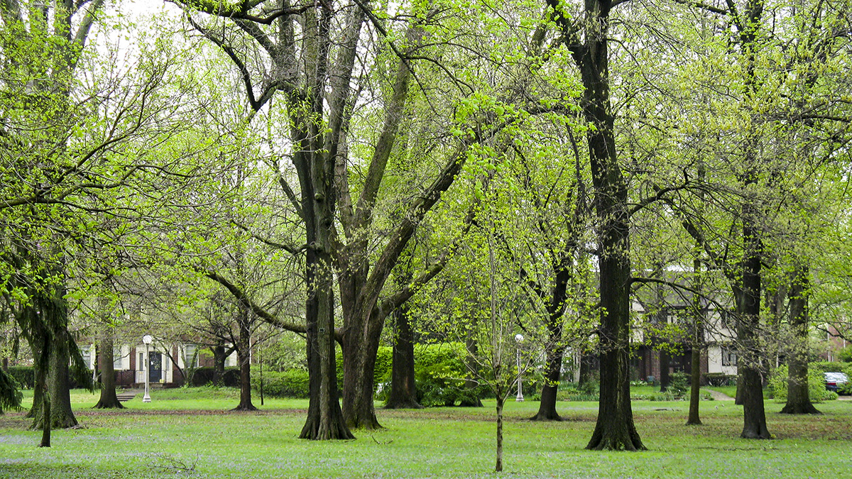 Carle Park, Urbana, IL