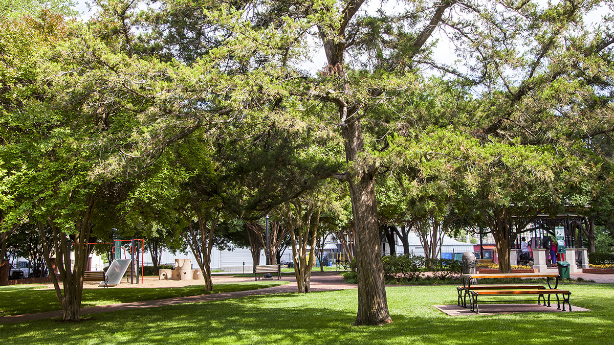 Central Square Park, Dallas, TX