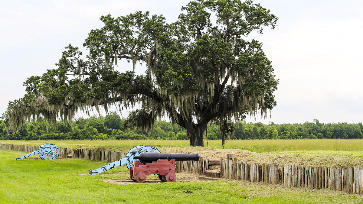 Chalmette Battlefield The Cultural Landscape Foundation