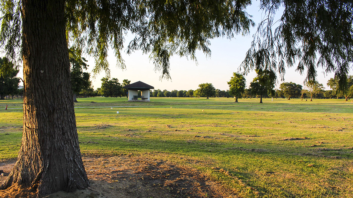 City Park Golf Course, New Orleans, LA