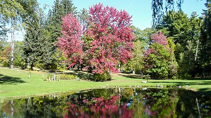 Coburn Park, Skowhegan, ME