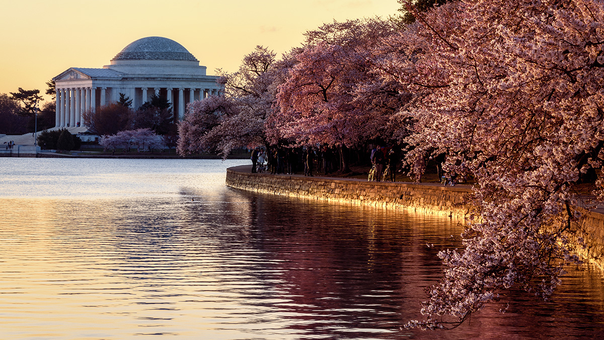 Tidal Basin, West Potomac Park, Washington, D.C.