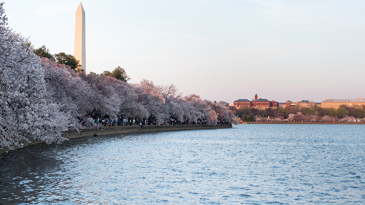 Tidal Basin The Cultural Landscape Foundation