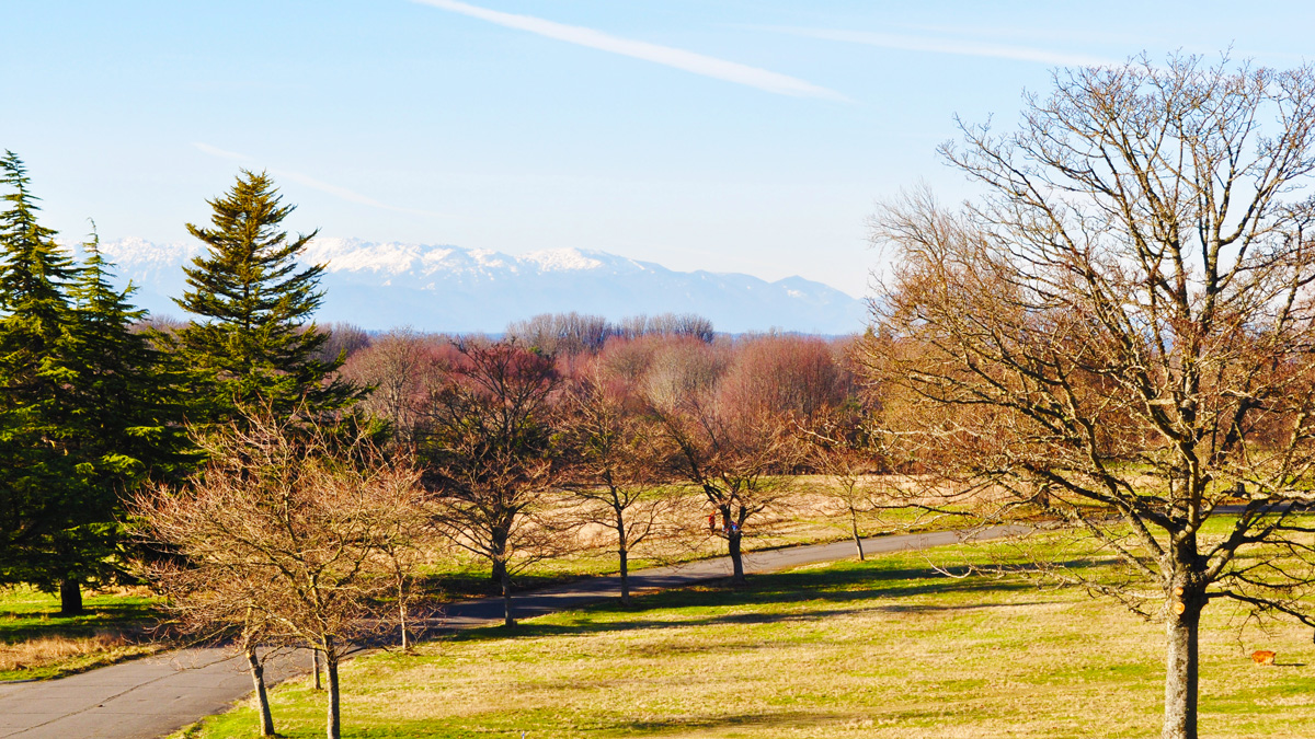 Discovery Park, Seattle, WA