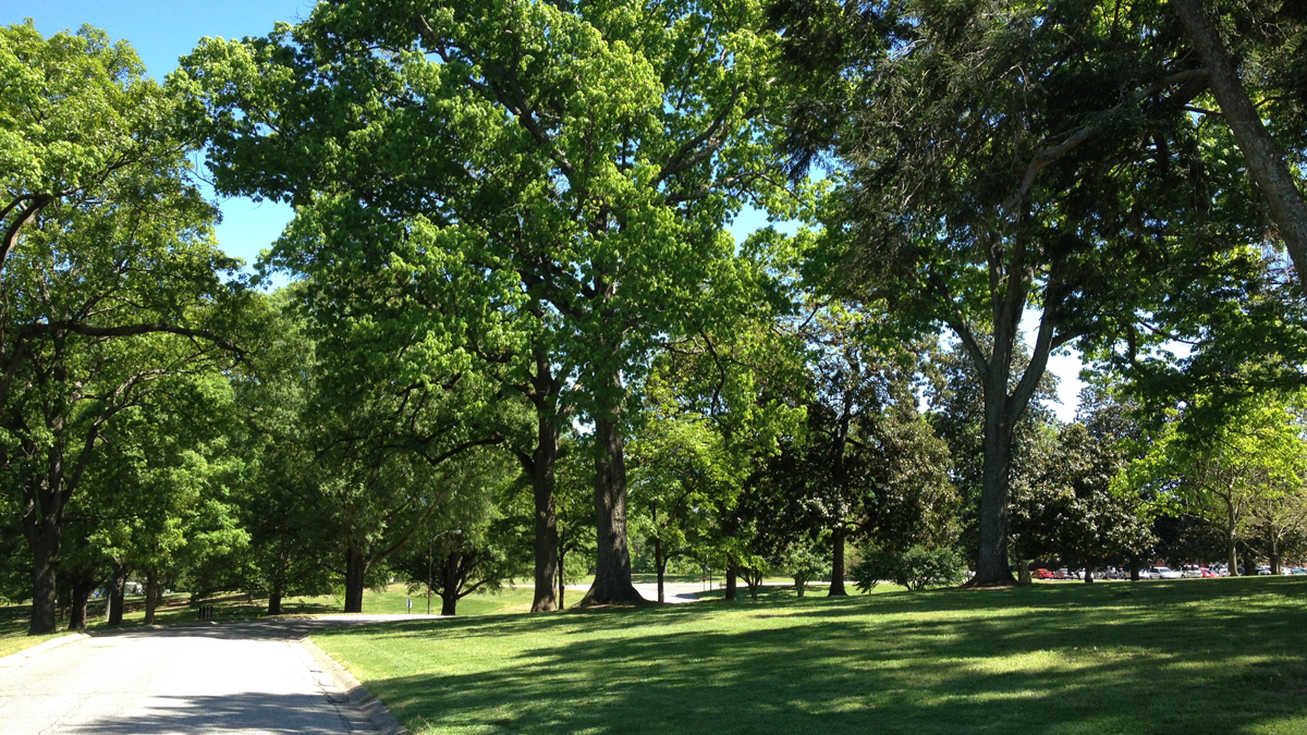 Dorothea Dix Park The Cultural Landscape Foundation