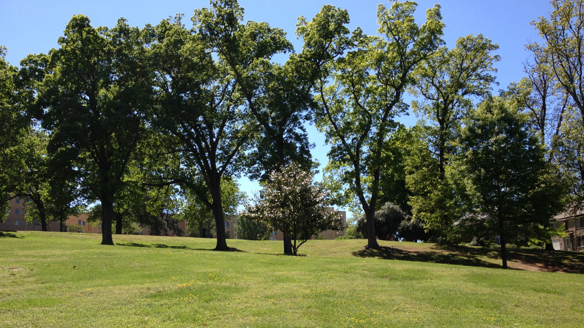 Dorothea Dix Park The Cultural Landscape Foundation