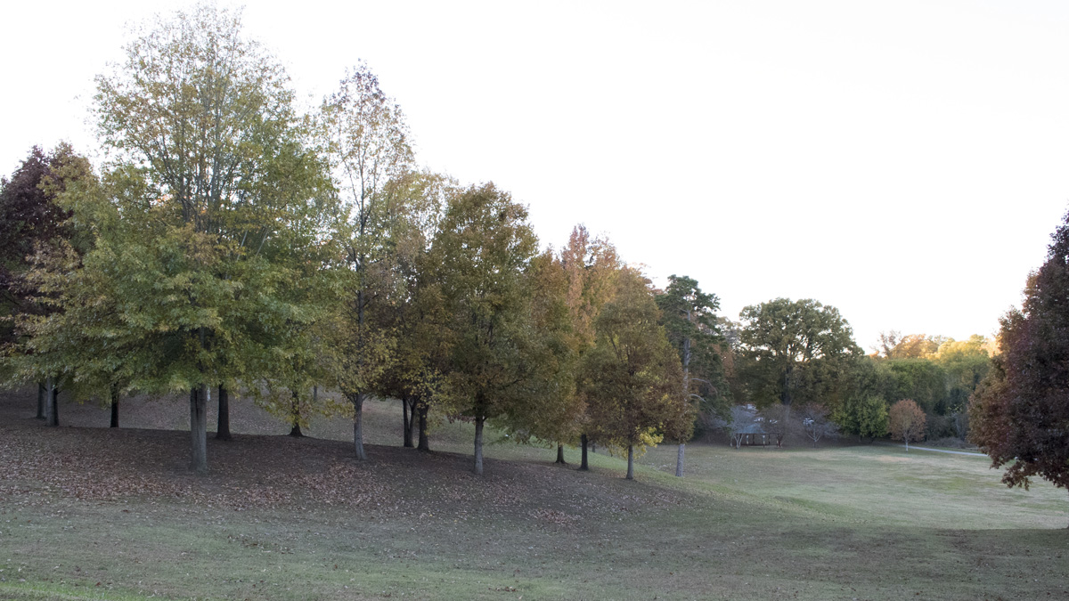 Dorothea Dix Park The Cultural Landscape Foundation