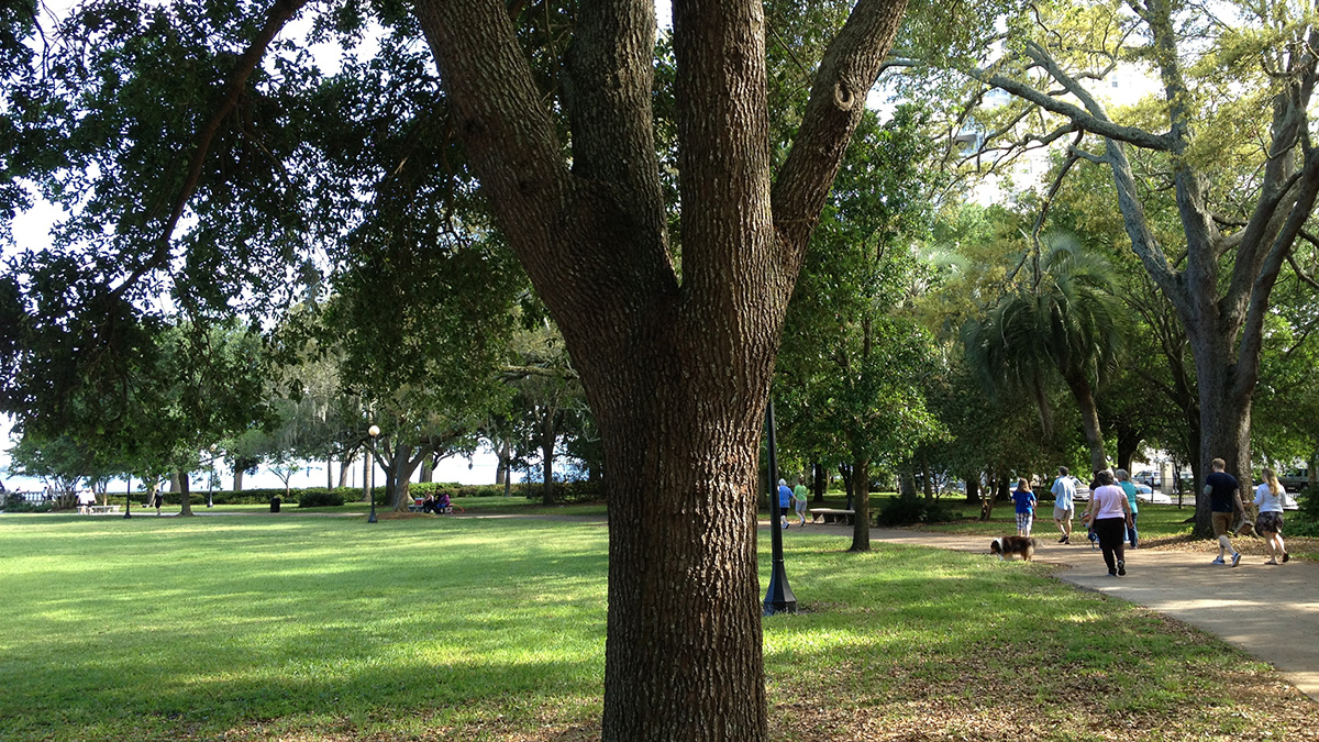 Memorial Park - FL | The Cultural Landscape Foundation