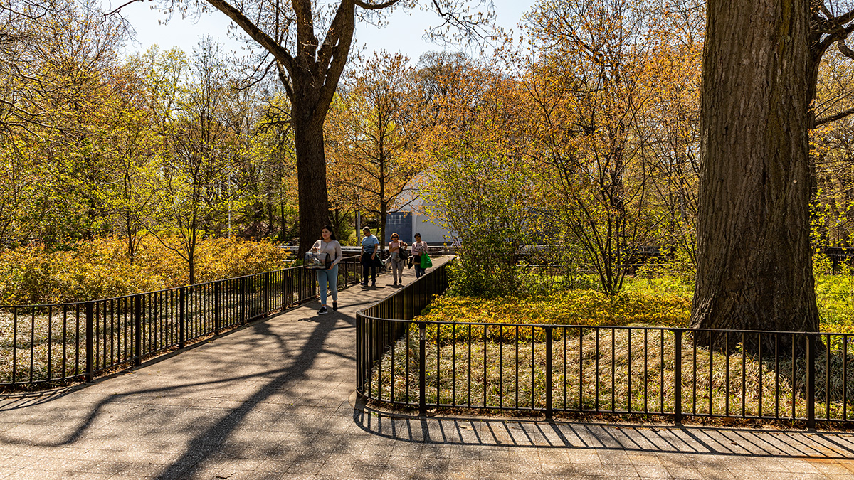 Forest Park NY The Cultural Landscape Foundation