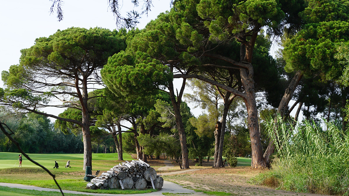 Old Course Golf Cannes Mandelieu, Mandelieu la Napoule, France