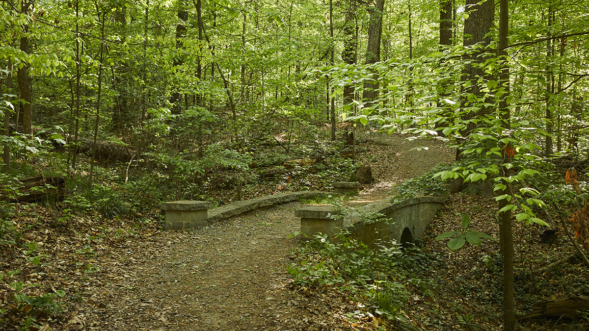 Deepdene Park at Druid Hills, Atlanta, GA