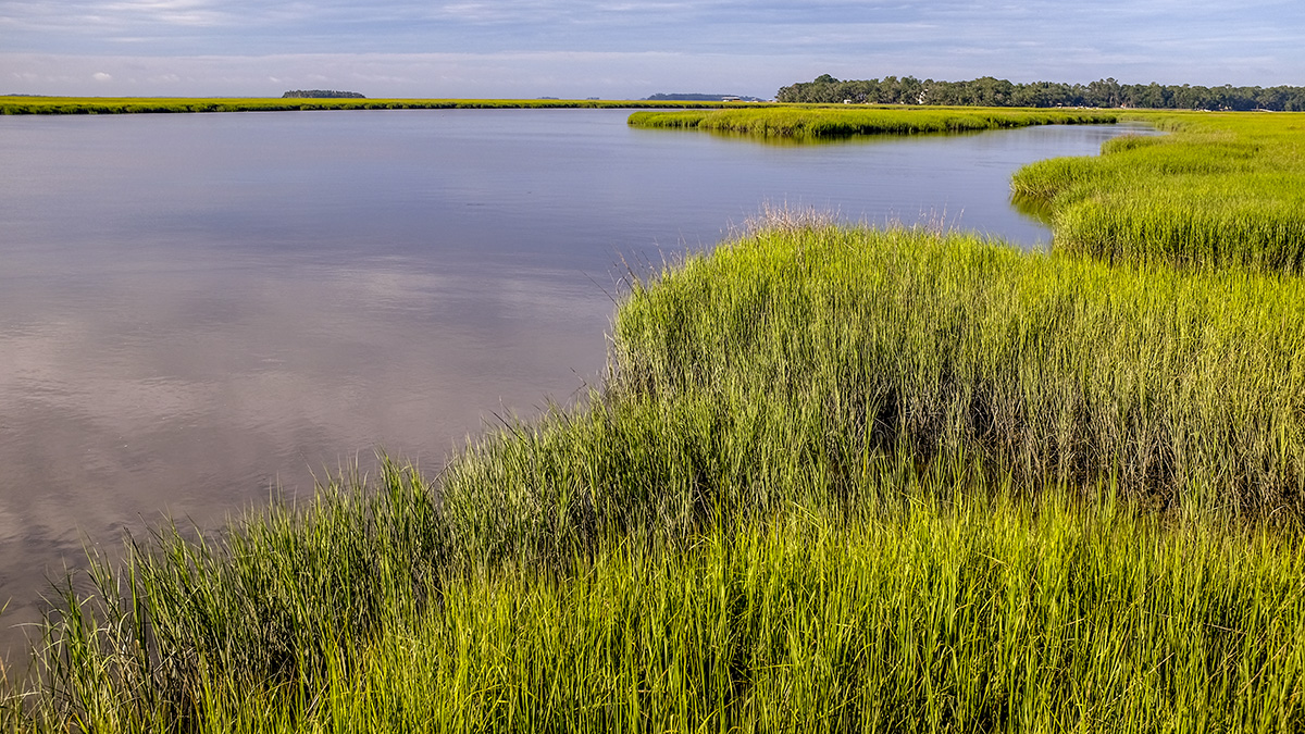 Hog Hammock, Sapelo Island, GA