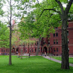 Harvard Yard, Cambridge, MA