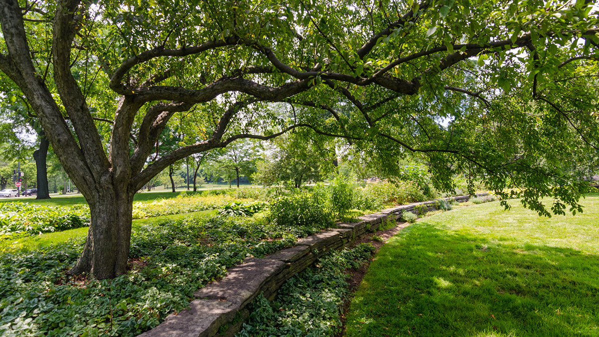 Jackson Park, Chicago, IL