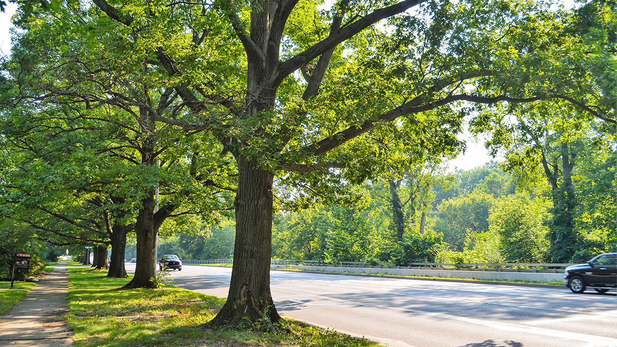 Fall Creek Parkway, Indianapolis, IN