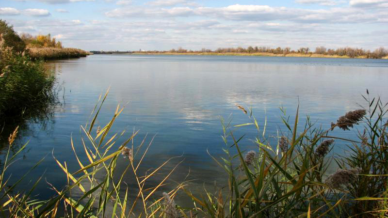 Jamaica Bay Wildlife Refuge, Broad Channel, NY