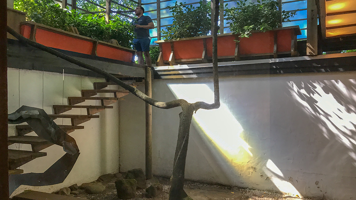 James C. Rose Residence The Cultural Landscape Foundation