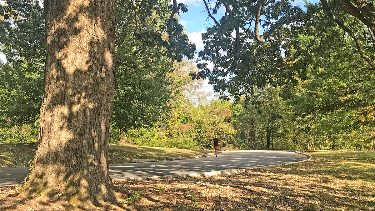 Cherokee Park The Cultural Landscape Foundation