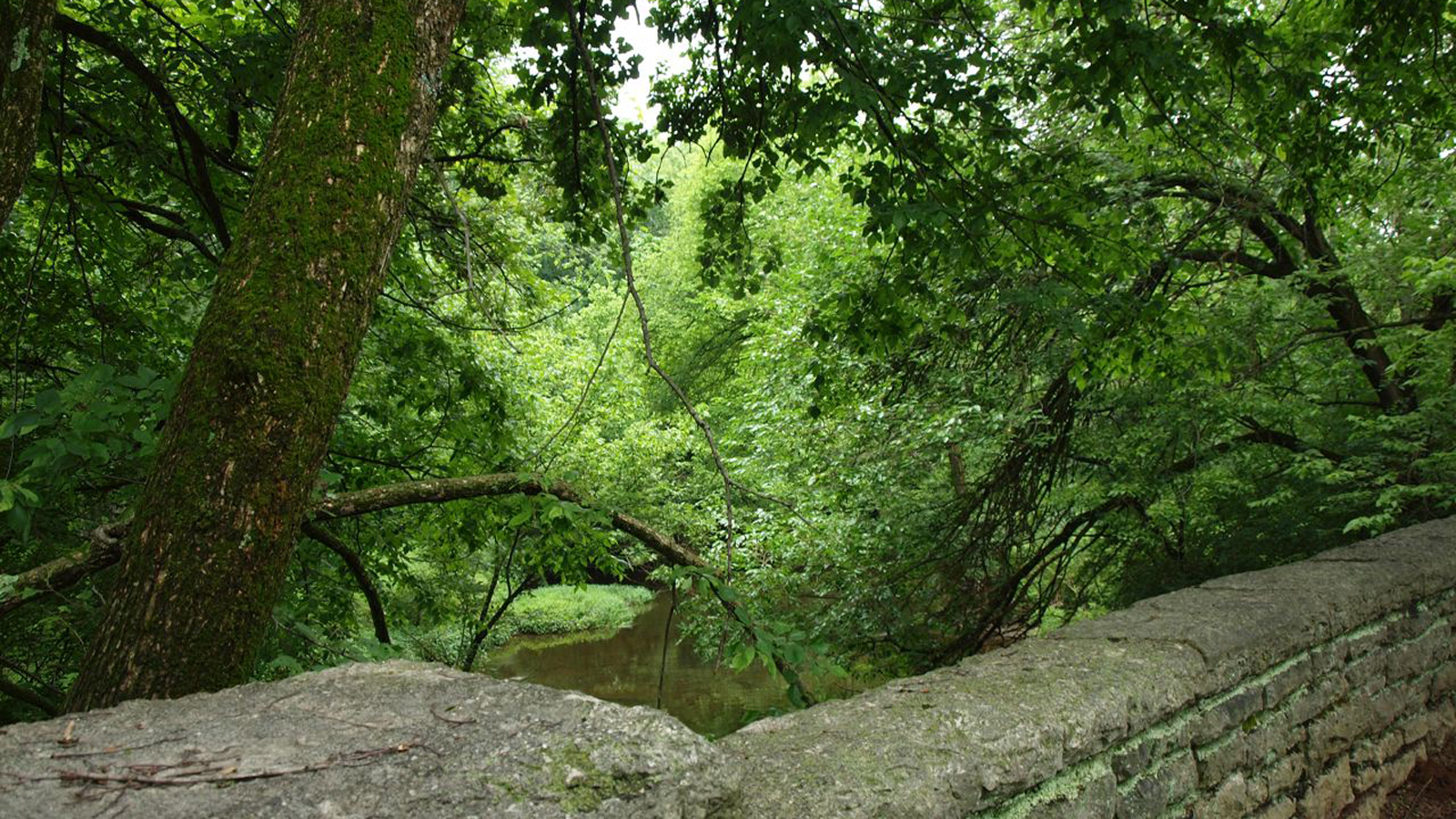 Seneca Park, Louisville, KY