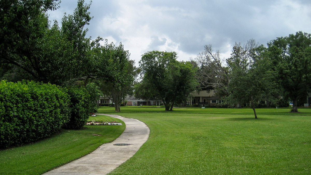 Lake Vista The Cultural Landscape Foundation