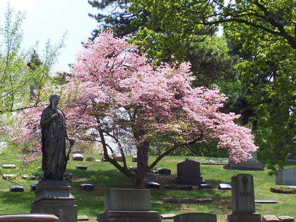 LakeViewCemetery9_CourtesyLakeViewCemetery.jpg