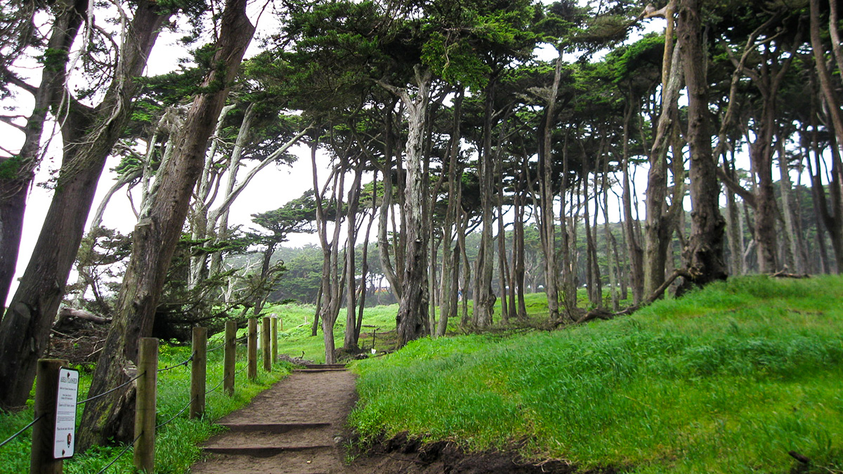 Land's End, San Francisco, CA