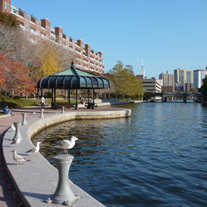 Lechmere Canal Park, Cambridge, MA