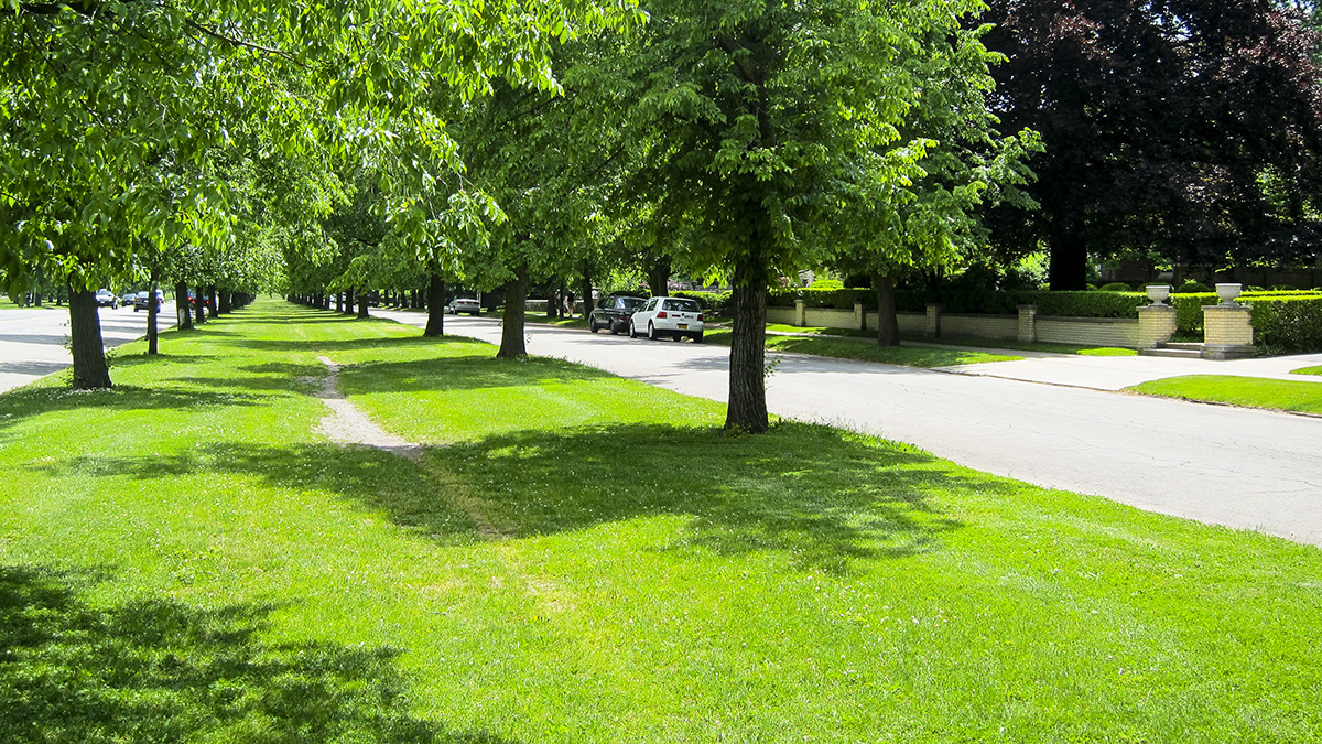 Lincoln Parkway, Buffalo, NY