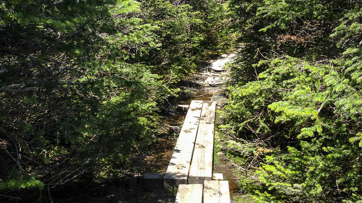 Long Trail, Lincoln, VT