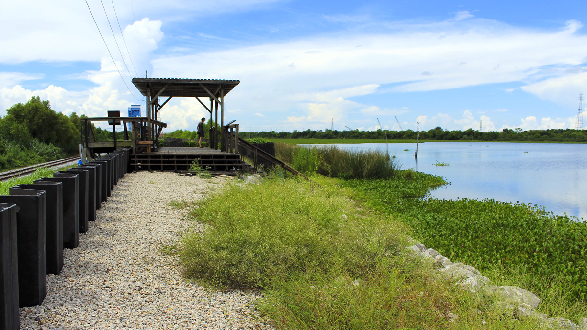 Cultural Landscape of Lower Ninth Ward