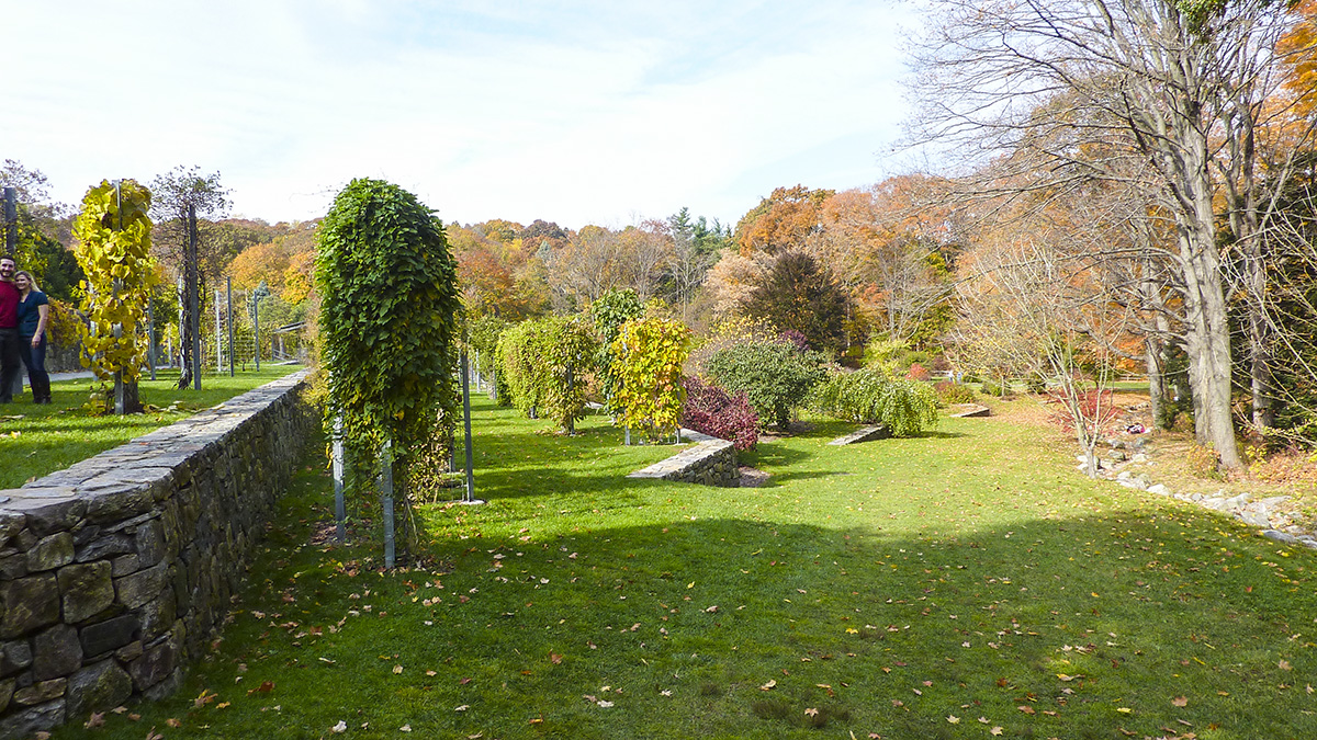 Arnold Arboretum The Cultural Landscape Foundation