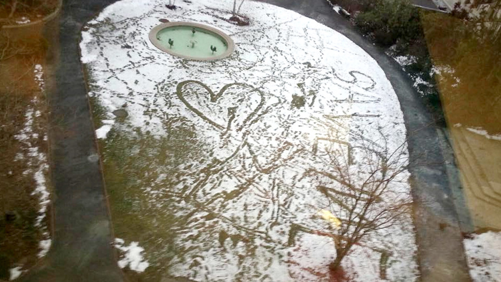 Doctor's Plea to Boston Children's Hospital Save the Prouty Garden