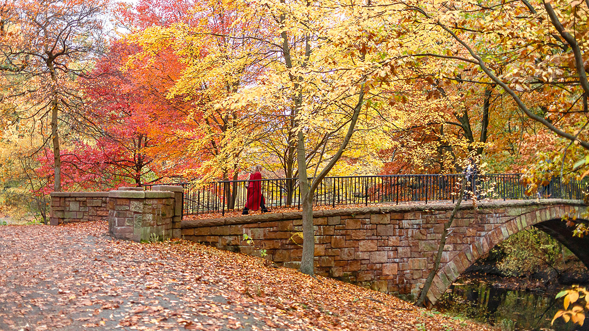 The Riverway, Boston, MA