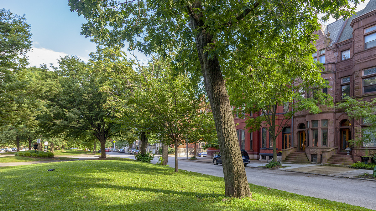 Eutaw Place The Cultural Landscape Foundation