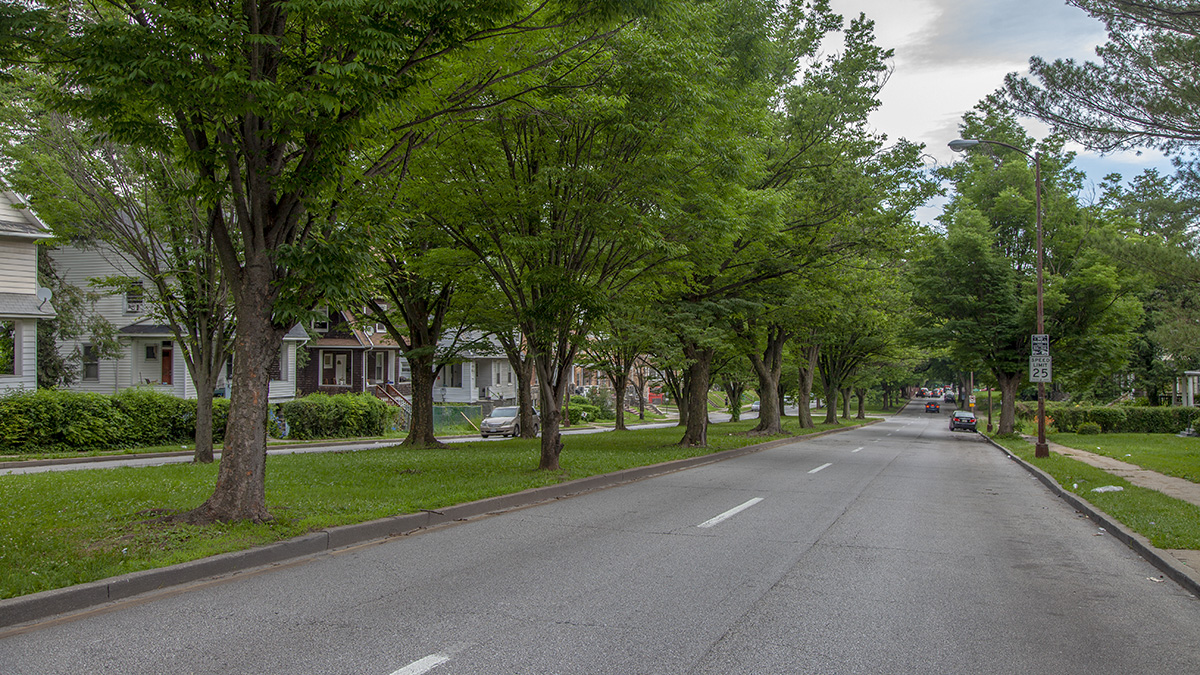 Gwynns Falls Parkway | The Cultural Landscape Foundation