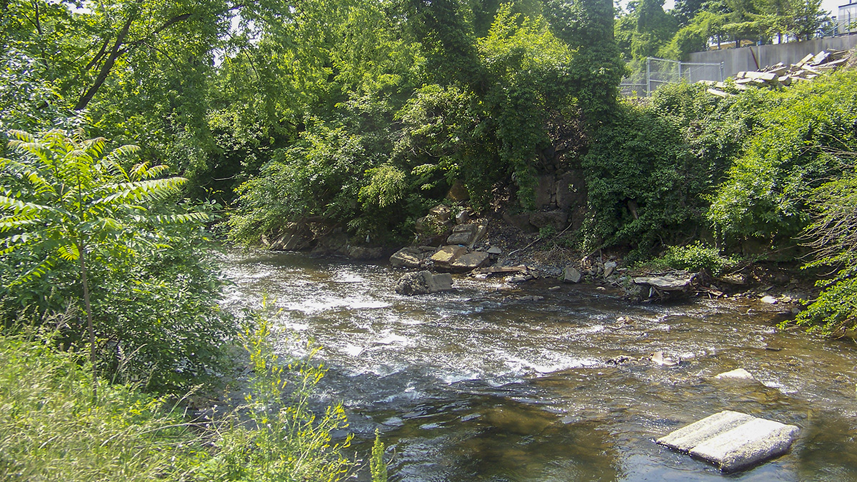 Jones Falls, Baltimore, MD