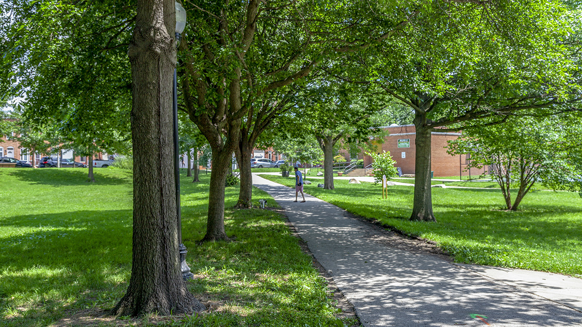 Latrobe Park The Cultural Landscape Foundation