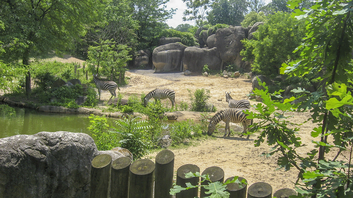 The Maryland Zoo in Baltimore, Baltimore, MD