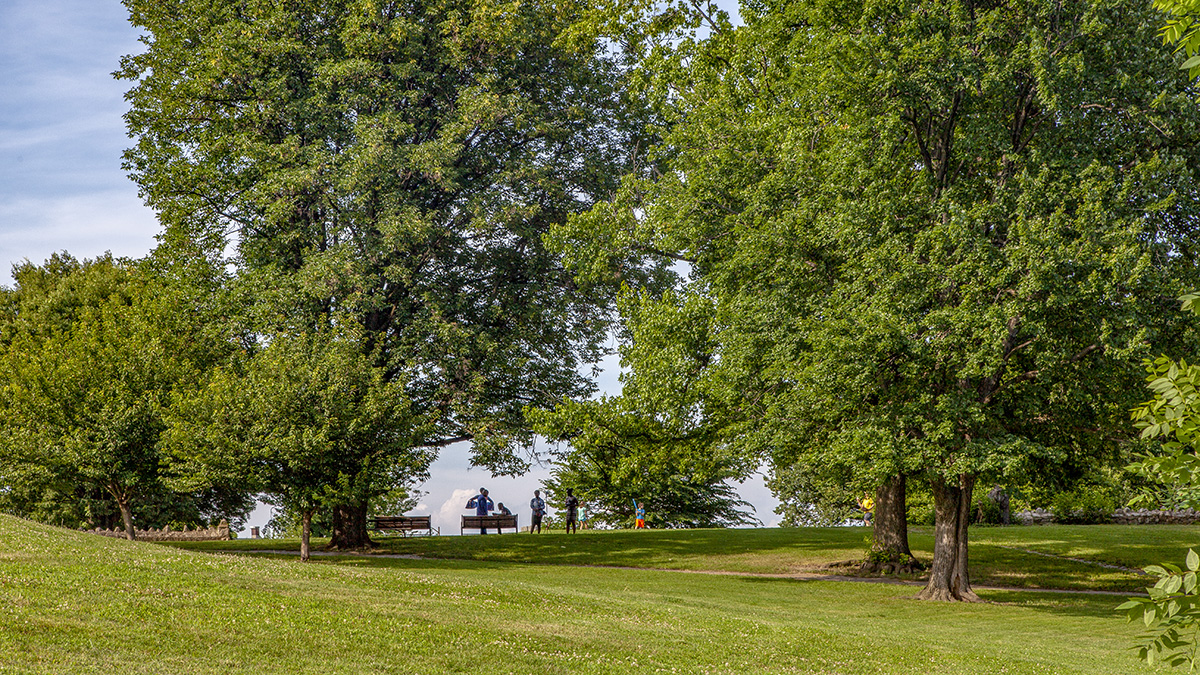 Patterson Park The Cultural Landscape Foundation
