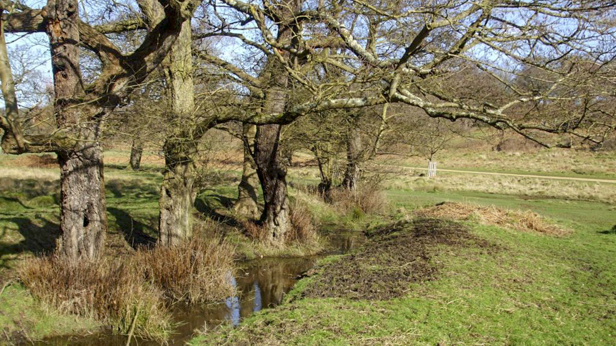 Sudbrook Park Historic District The Cultural Landscape Foundation